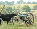 Cow, Cannon, Antietam, MD